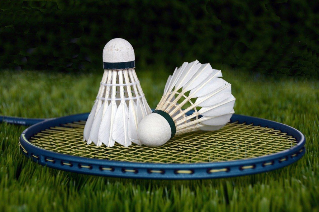 Racket and shuttlecock.