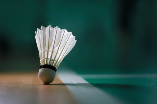 A shuttlecock hitting the court.